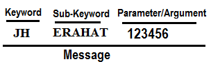 Pull-sms-format